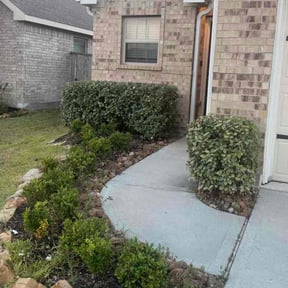 Bush Trimming by A&amp;M Services reviewed on October 19, 2025