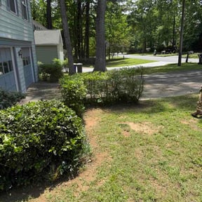 Bush Trimming by Pro City Wash reviewed on May 9, 2026