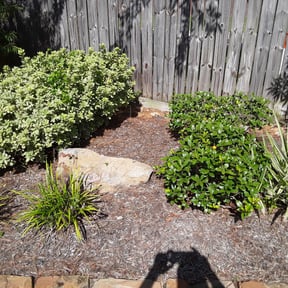 Flower Bed Weeding by Land recovery solutions reviewed on August 20, 2025