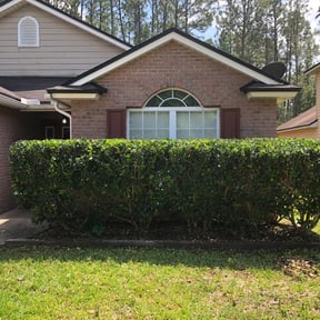 Bush Trimming by Caesar’s Premier Landscaping reviewed on August 21, 2025