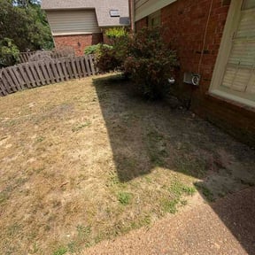 Leaf Removal by Lucero’s Landscaping reviewed on August 17, 2026