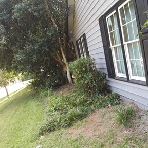 Bush Trimming by Herrera Lawn Maintenance reviewed on August 21, 2025