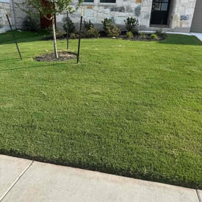 yard service by Bros lawn care 2 reviewed on August 15, 2025