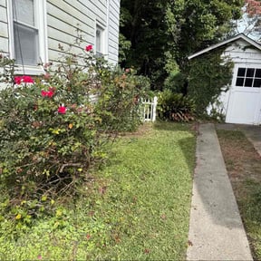 Bush Trimming by Trusted Trims, Lawn Maintenance Professional reviewed on December 30, 2025