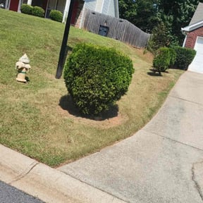 Bush Trimming by You Grow It We Mow It reviewed on November 5, 2025