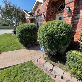 Bush Trimming by Big Bear Lawn Care reviewed on August 20, 2025