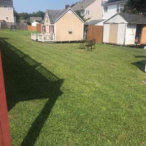 grass cutting by Clean green landscaping reviewed on November 2, 2023