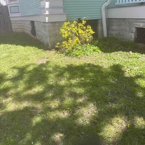 Bush Trimming by SNE LAWN CARE reviewed on May 11, 2026