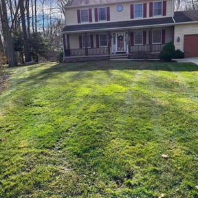 Leaf Removal by Handyman Can reviewed on November 24, 2025