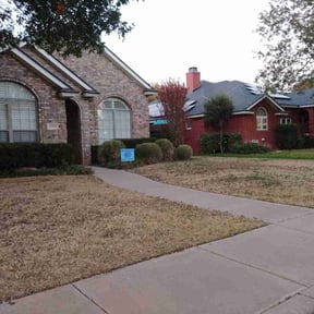 Bush Trimming by Gallaghers greens reviewed on November 18, 2025