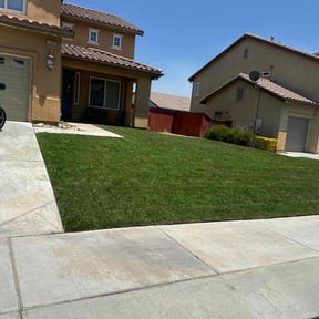 gardening service by zumpano and son landscaping reviewed on August 18, 2025