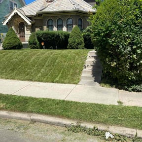 lawn maintenance by No Mow Worries Lawn Care reviewed on November 7, 2023
