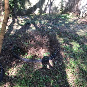 Bush Trimming by Javier Lawn Care reviewed on August 16, 2025