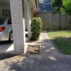 Bush Trimming by Green Is Growth reviewed on August 18, 2025