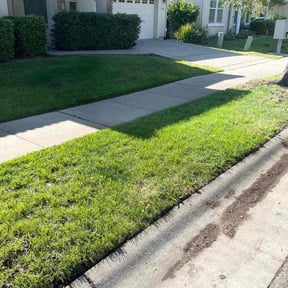 turf care by Fla Lawn Pros LLC reviewed on October 9, 2023