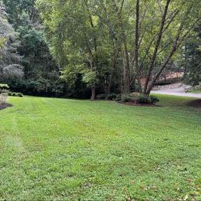 yard maintenance by lazer lawns reviewed on August 15, 2025