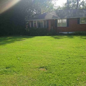 Bush Trimming by Shine Bright CLN SER OF JAX reviewed on December 11, 2025