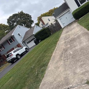 Bush Trimming by M&C Landscaping reviewed on August 19, 2025