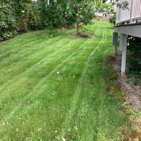 turf maintenance by Thatsmydadlawncarellc reviewed on February 5, 2024