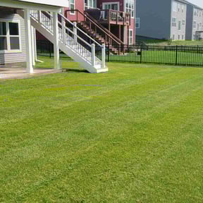 landscaping services by L and c landscape reviewed on August 19, 2025