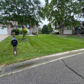 landscaping by Garza Lawn Care Service. reviewed on August 15, 2025