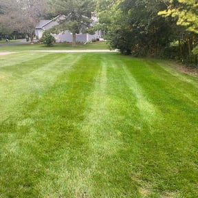 residential landscaping by D's Lawn Care reviewed on August 21, 2025