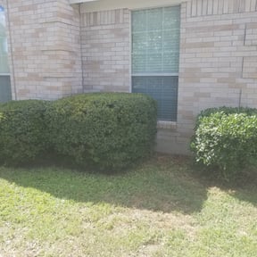 Bush Trimming by Juarez lawn maintenance reviewed on August 20, 2025