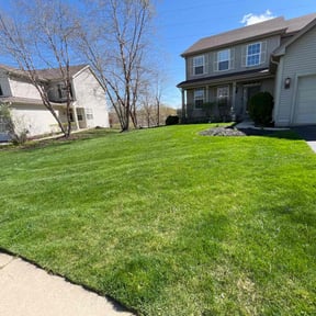 grass cutting by GAMA Lawn Care Services reviewed on May 1, 2025