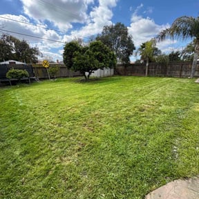 turf maintenance by Supreme Home Services reviewed on May 10, 2024