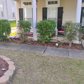 Bush Trimming by DMD LAWN SVC reviewed on August 21, 2025