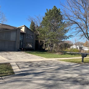Leaf Removal by Forest Green Lawn & Landscaping, LLC reviewed on August 15, 2025