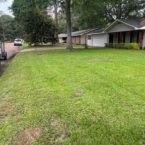 lawn care by Outdoor Supreme reviewed on August 19, 2024