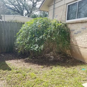 Bush Trimming by We Do Grass Lawncare reviewed on August 17, 2025