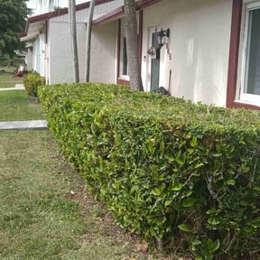 Bush Trimming by BRO Mowing reviewed on August 17, 2025