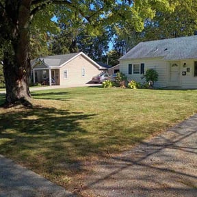 Leaf Removal by A1 Sears Carpet Cleaning/Landscaping reviewed on October 21, 2025