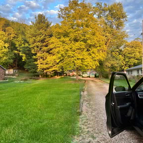 grass maintenance by Parker's Lawn Care reviewed on July 7, 2023