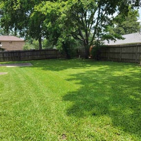 lawn service by JD Services 757 LLC reviewed on August 17, 2025