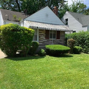 Bush Trimming by Rsb construction reviewed on August 15, 2025