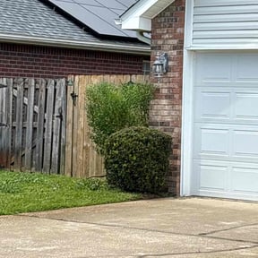 Bush Trimming by E &amp; J Lawnz reviewed on October 21, 2025