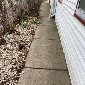 Leaf Removal by Express Innovations reviewed on August 19, 2025