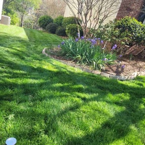yard care by Pioneer Lawn Care reviewed on August 17, 2025