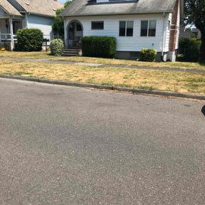 Bush Trimming by Eagle Electric Lawn Care reviewed on October 22, 2024