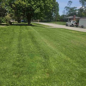 turf maintenance by Grasshopper Landscaping reviewed on September 27, 2023