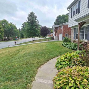 lawn care services by Jay's lawn care reviewed on August 1, 2023