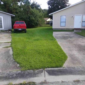 yard service by Tip top lawns reviewed on August 18, 2025