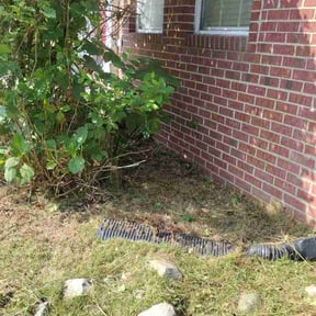 Flower Bed Weeding by Randys reliable services reviewed on August 27, 2026