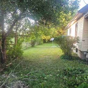 Bush Trimming by Anything Lawn reviewed on July 25, 2026
