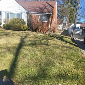 Leaf Removal by Cut it right lawncare reviewed on July 31, 2026