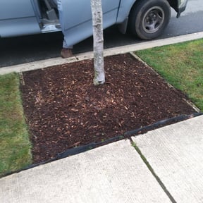 Flower Bed Weeding by TIMBERLAND Pro Landscaping reviewed on August 18, 2025
