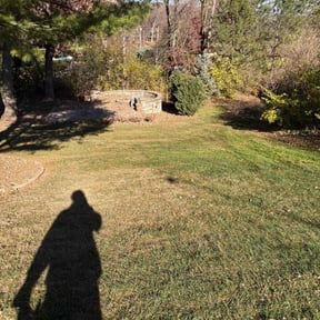 Leaf Removal by Romero&amp;#039;s Quality Lawn Service reviewed on November 24, 2025